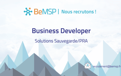 Business Developer – Solutions Sauvegarde/PRA B2B – H/F